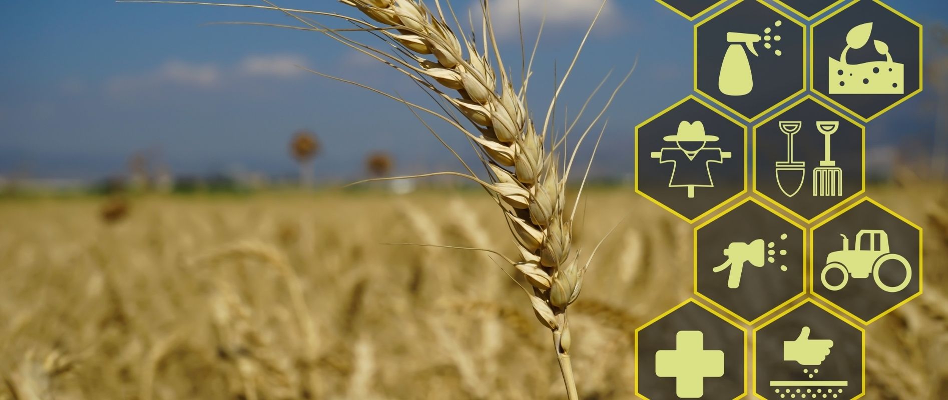 Agriculture Industry Solutions by TQI Global